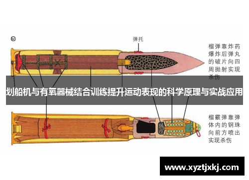 划船机与有氧器械结合训练提升运动表现的科学原理与实战应用